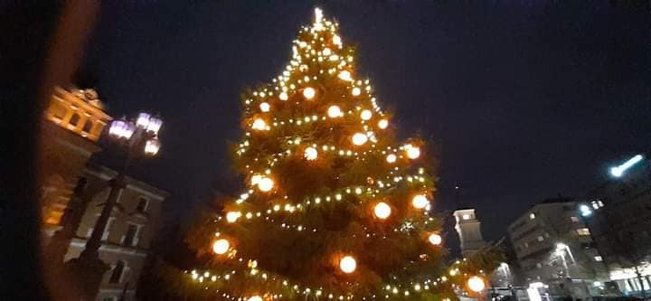 Joulukuusi valoissaan Oulun kaupungintalon edustalla