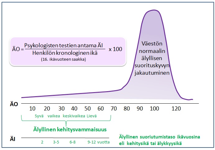 älyllinen suoriutumistaso ikävuosina eli kehitysikä tai älykkyysikä