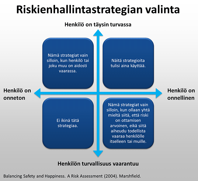 Riskienhallintastrategian valinta