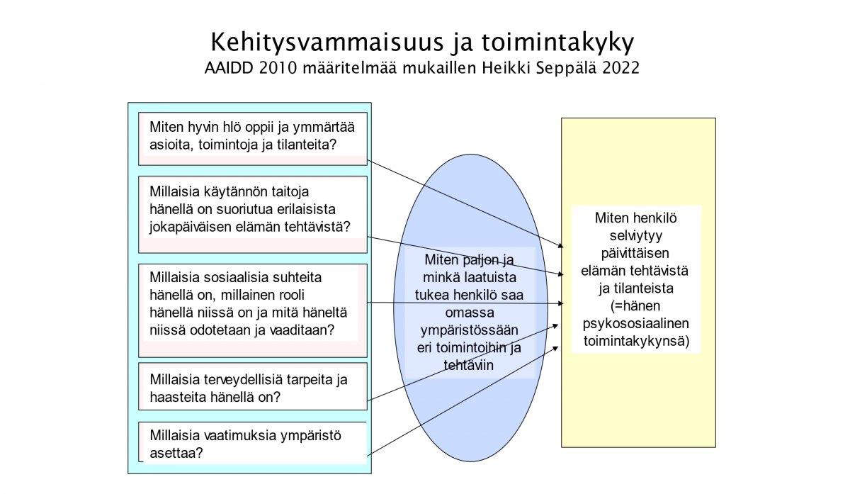 Kehitysvammaisuus ja toimintakyky - kuva